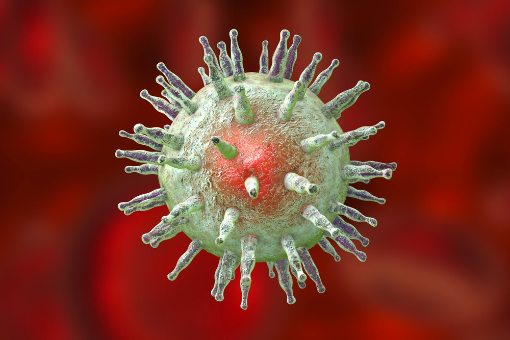 ВЭБ и клетки иммунной системы