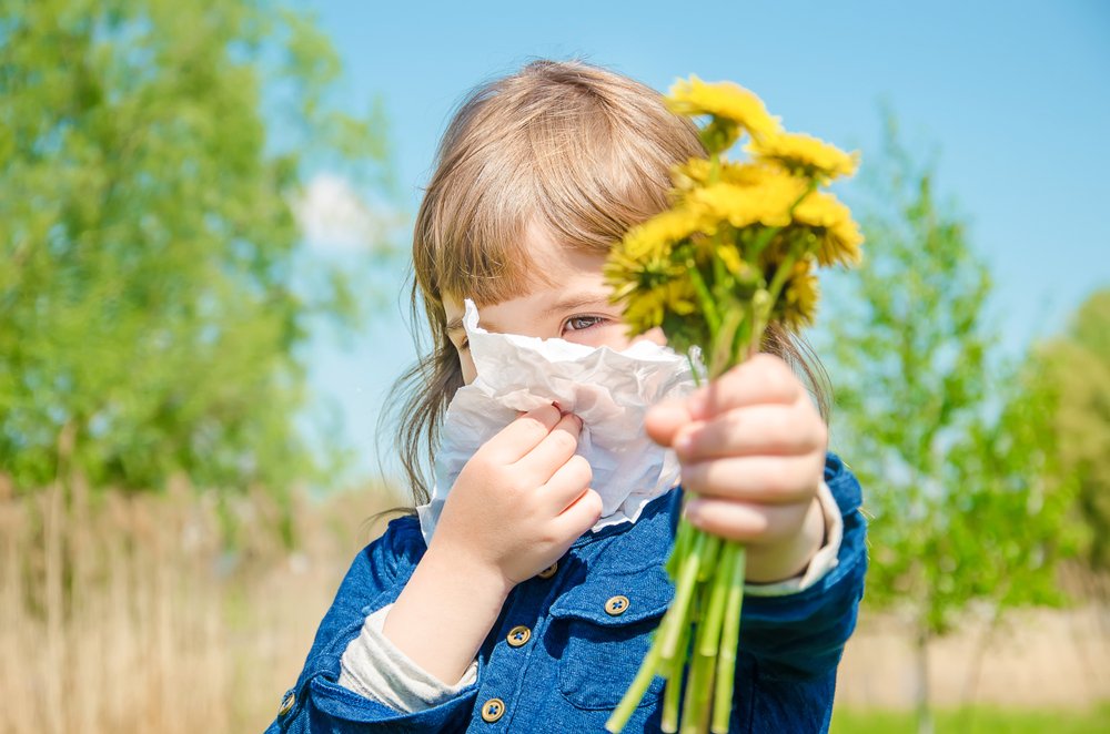 Симптомы летней пыльцевой аллергии
