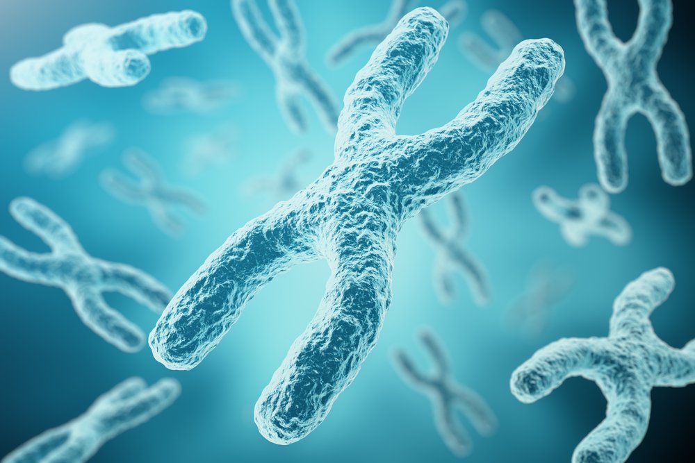 Хромосомные болезни — генетическая поломка